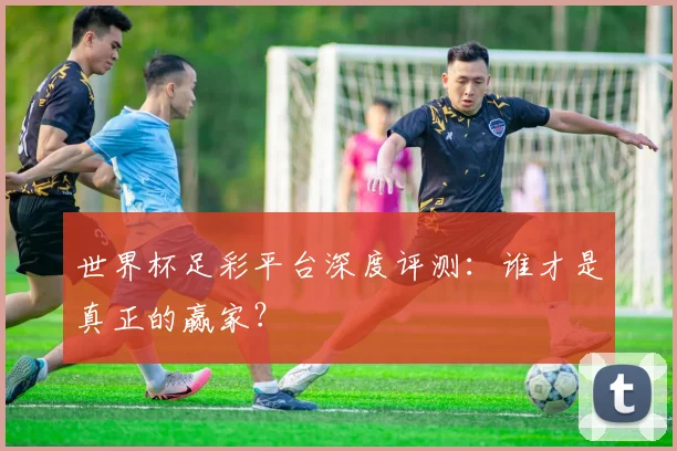 世界杯足彩平台深度评测：谁才是真正的赢家？