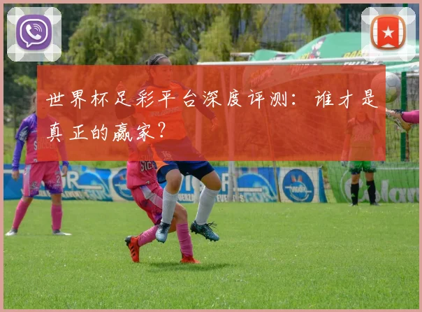 世界杯足彩平台深度评测：谁才是真正的赢家？